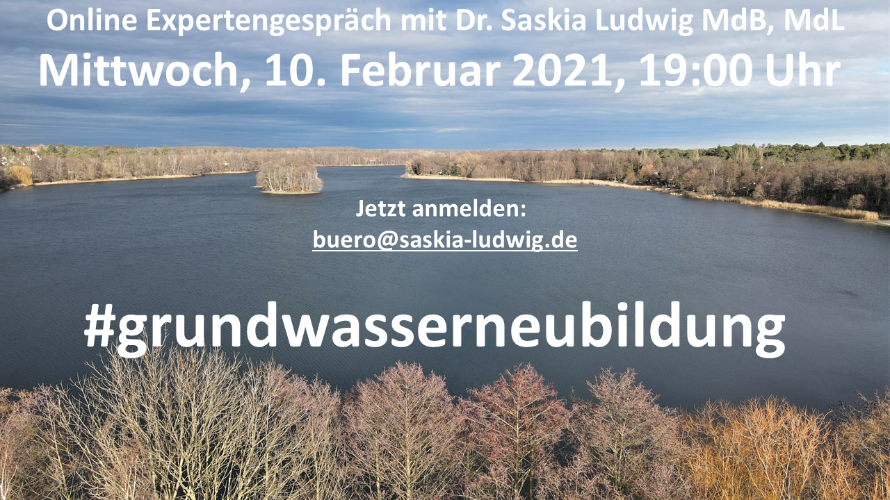 Online Fachgesprch mit Dr. Saskia Ludwig MdB, MdL 